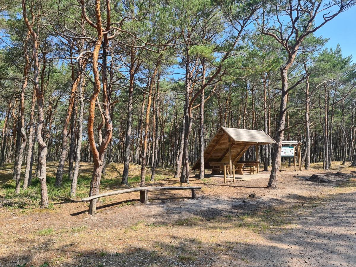 Pokoje Goscinne Wierzchucino Экстерьер фото